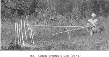 Karen spring-spear (Dyan)