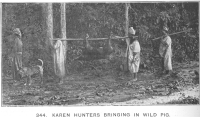 Karen hunters bringing in wild pig