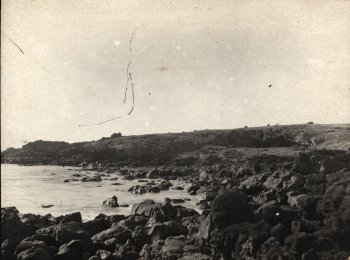 Shore? Easter Id