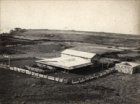 The shearing sheds ...