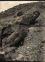 A partially excavated image ...
