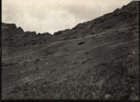 Inside of crater at Rano Raraku
