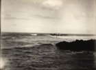 The sea