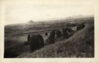 Standing statues on SW slope of Rano Raraku ...