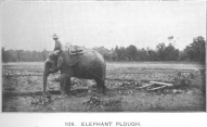 Elephant plough