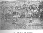 Binding the thatch