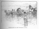 Water-Carts in the Sabarmati River