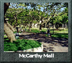 McCarthy Mall